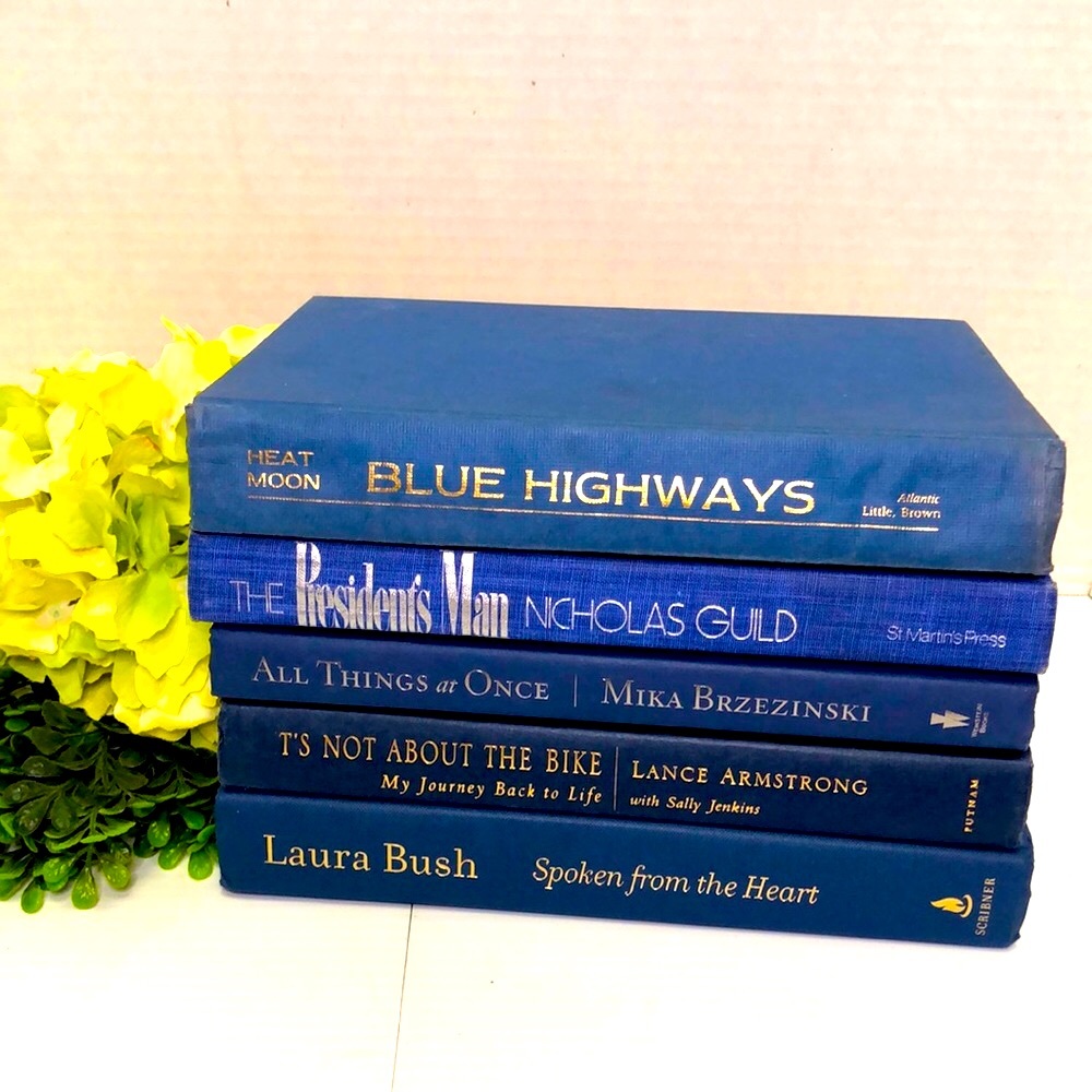 Shades of Blue Modern Decor Vintage Stack of Decorative Books Color Coded - Picture 2 of 4